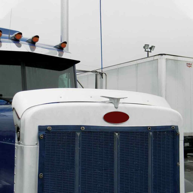 PET. 379 HOOD SHIELD BUG DEFLECTOR (1993-2007) - THOD-PET379