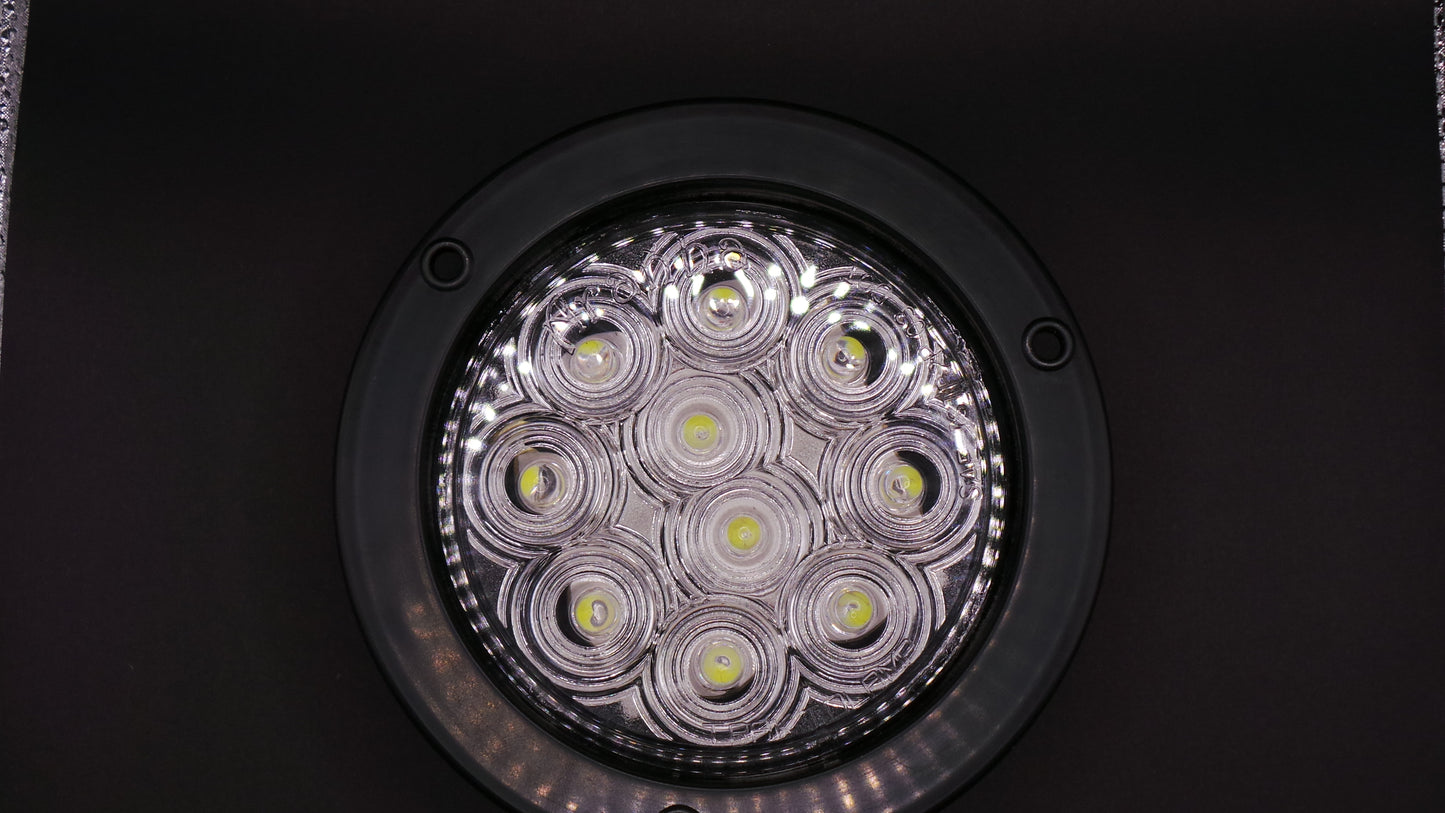 4" Back-Up  Fixed 10 LED Light Clear 12/24V W/ Black Bezel And Pigtail Kit  -  8002C