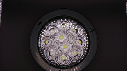 4" Back-Up  Fixed 10 LED Light Clear 12/24V W/ Black Bezel And Pigtail Kit  -  8002C