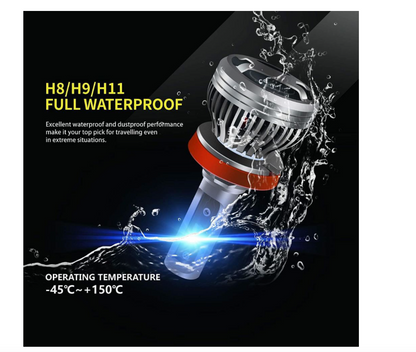 Gastokyle Conversion Kit - H8 / H9 / H11 LED